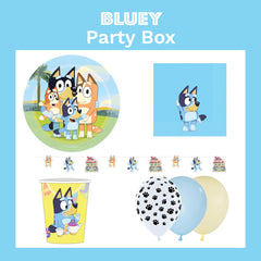 Bluey Party Box