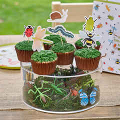 Bug Cupcake Toppers - 12pkt