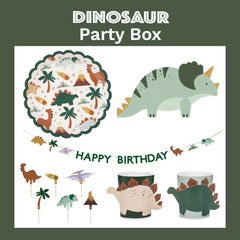 Dinosaur Party Box