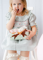 Horse Snack Boxes 3pk