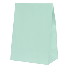 Mint Green Paper Party Favour Bag 10pk