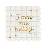 Teddy Bear One Today Napkins 12pk