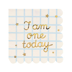 Teddy Bear One Today Napkins 12pk