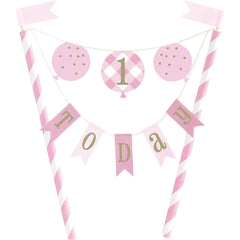 Gingham 1st Birthday Pink Cake Topper