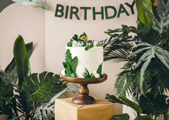 Dinosaur Birthday Candles 3pk