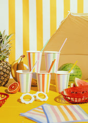 Reusable Plastic Straws 30pk
