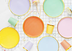 Colourful Plates 6pk