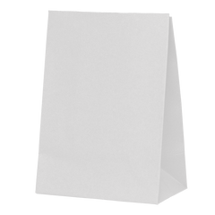 White Paper Party Favour Bag 10pk