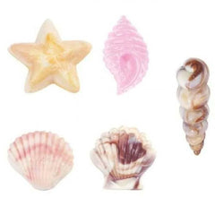 Seashells Candy Mould