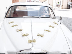 Burlap Bows Wedding Car Decoration Kit