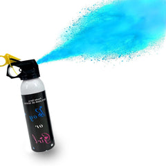 Gender Reveal Fire Extinguisher - Boy