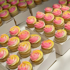 18" Two-Tone Disposable Icing Piping Bags 10pk