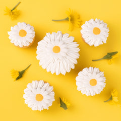 Daisy Icing Decorations 8pk