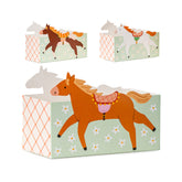 Horse Snack Boxes 3pk