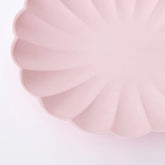Candy Pink Large Compostable Plates 8pk