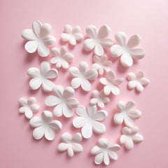 Tylose CMC Powder White 100g