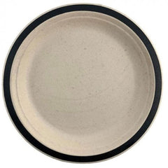Sugarcane Large Plates | Black 10pk - The Party Room