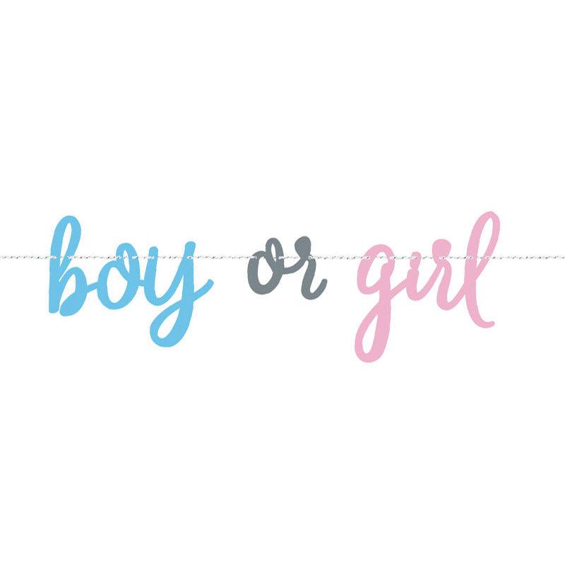 Gender Reveal Banner - The Party Room