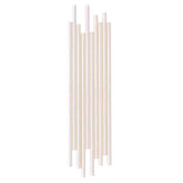 Iridescent Paper Straws 24pk - The Party Room
