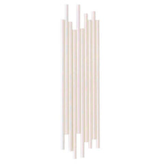 Iridescent Paper Straws 24pk - The Party Room