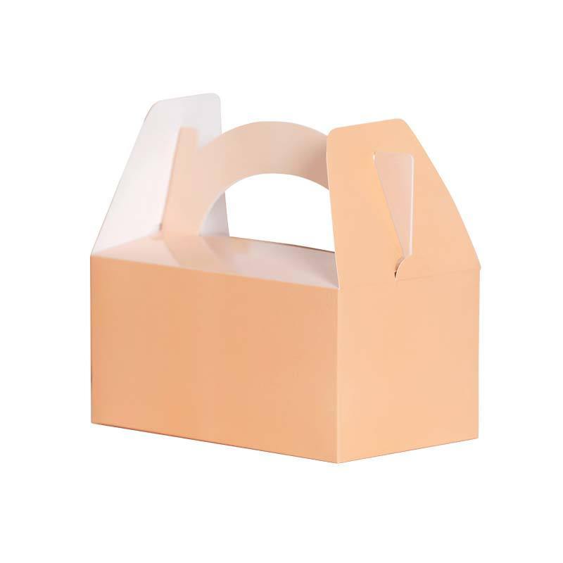Pastel Peach Lunch Boxes (5 Pack) - The Party Room