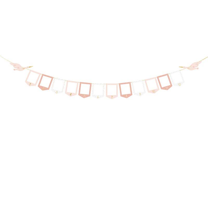Stork Photo Frame Garland - The Party Room