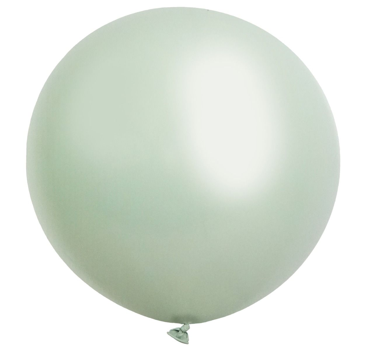 Jumbo 90cm Meadow Balloons