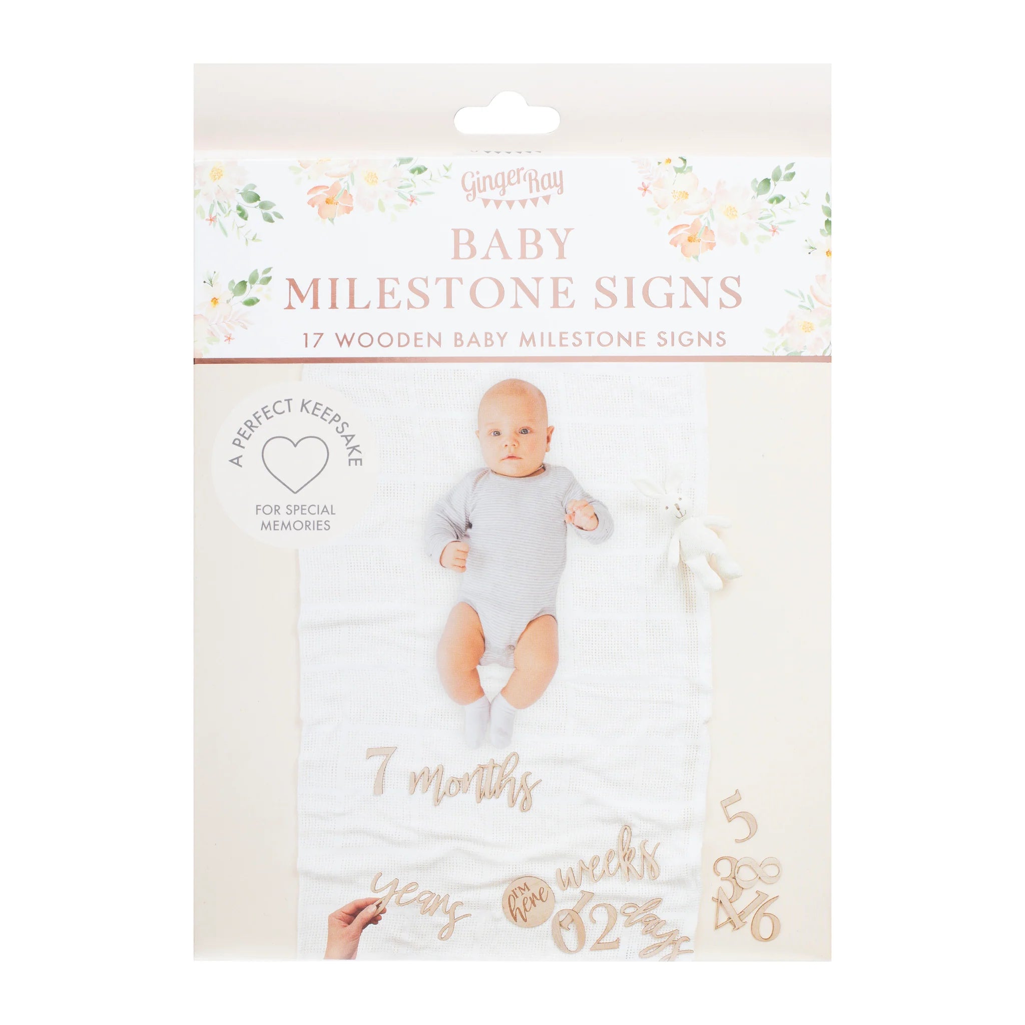 Wooden Baby Milestone Signs