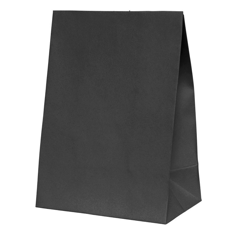 Black Paper Party Favour Bag 10pk