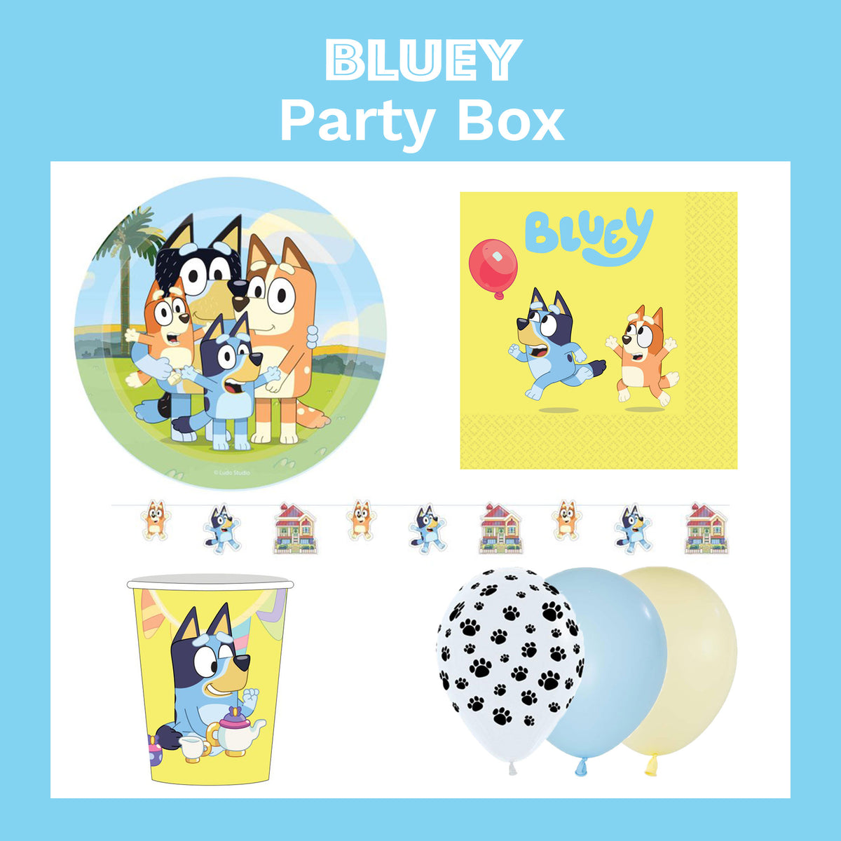 Bluey Party Box