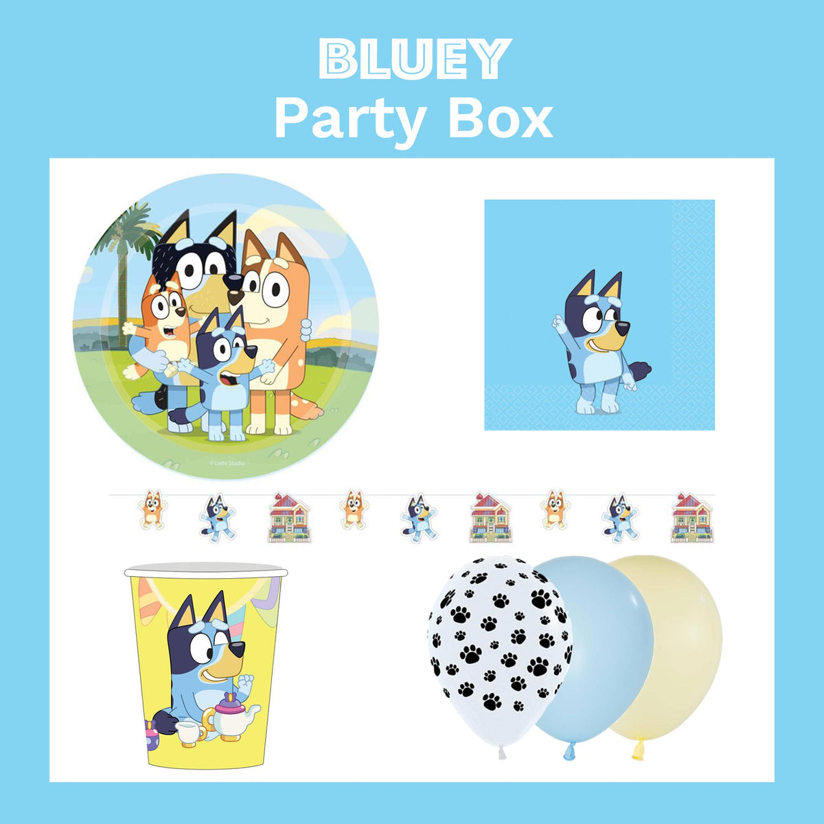 Bluey Party Box