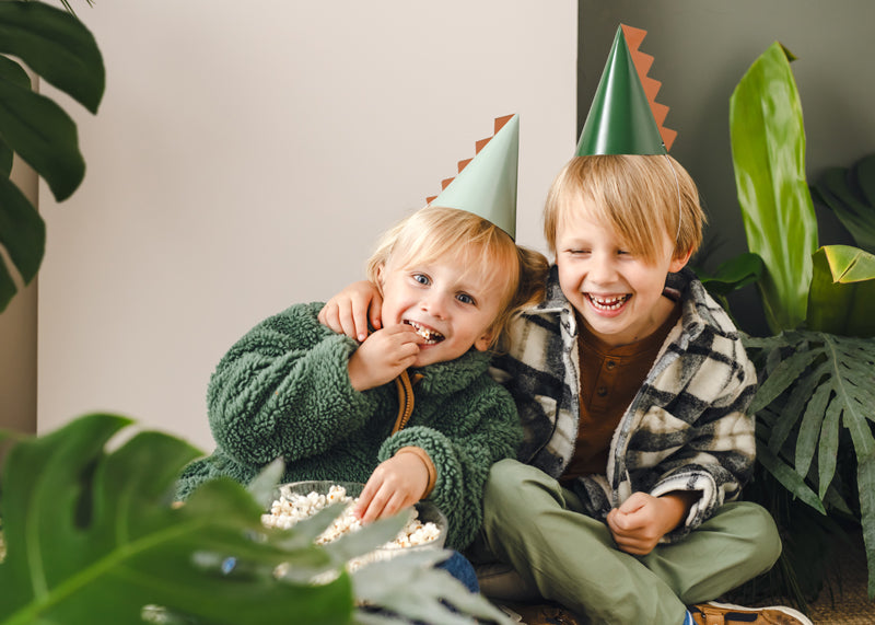 Dinosaur Mixed Party Hats 6pk