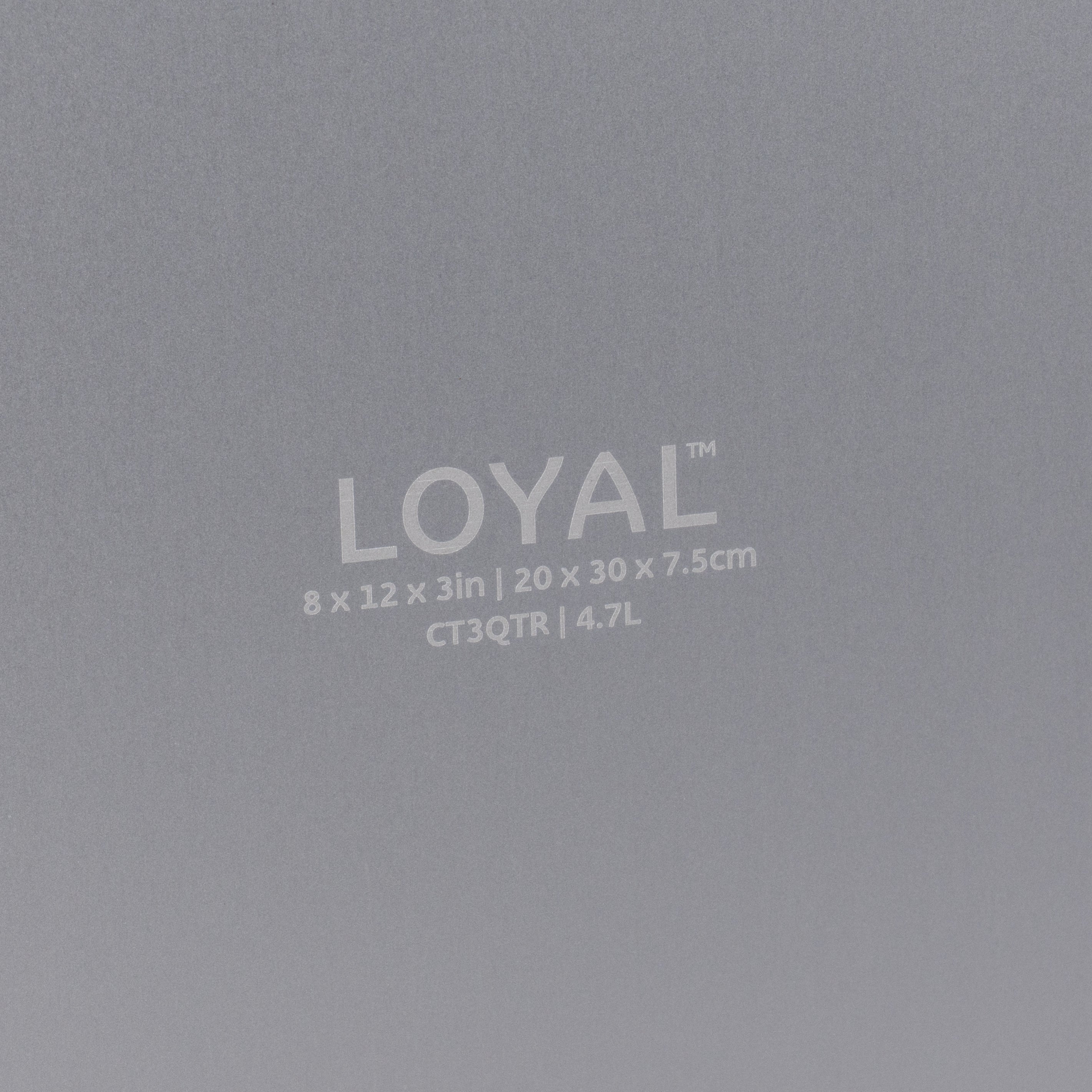 LOYAL Cake Tin Quarter Slab 8" x 12" x 3" (20cm x 30cm x 7.5cm)
