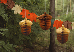 Acorn Honeycomb Decorations 2pk