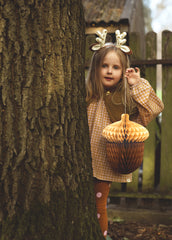 Acorn Honeycomb Decorations 2pk