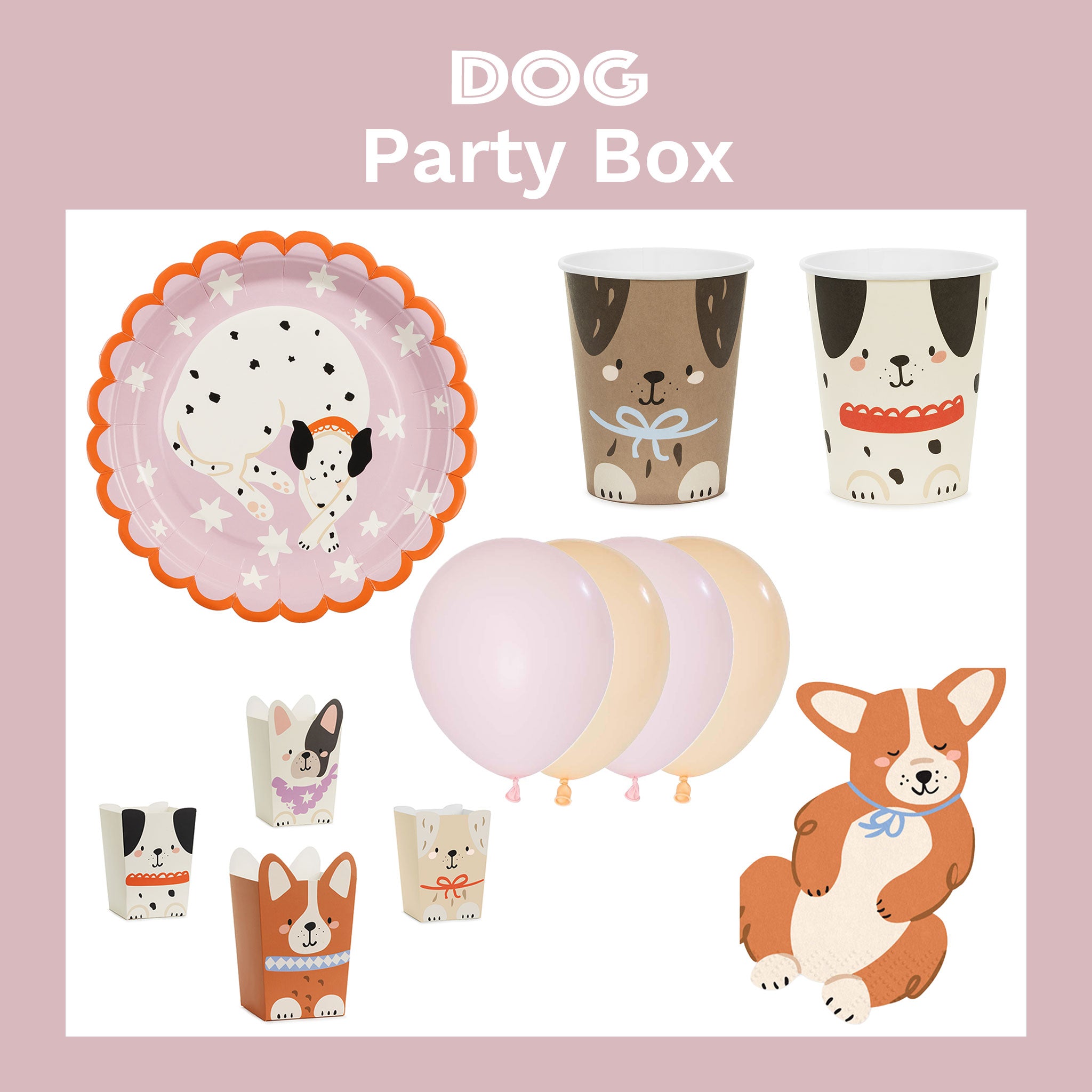 Dog Party Box