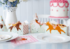 Horse Snack Boxes 3pk