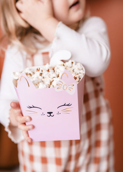Cat Snack Boxes 3pk