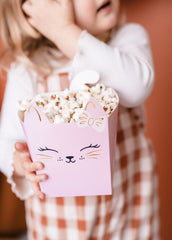 Cat Snack Boxes 3pk