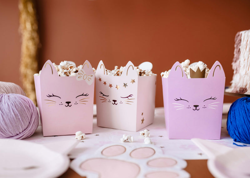 Cat Snack Boxes 3pk