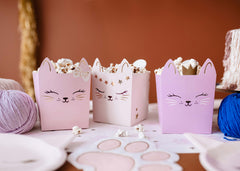 Cat Snack Boxes 3pk