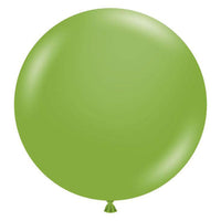 Large 60cm Fiona Balloons
