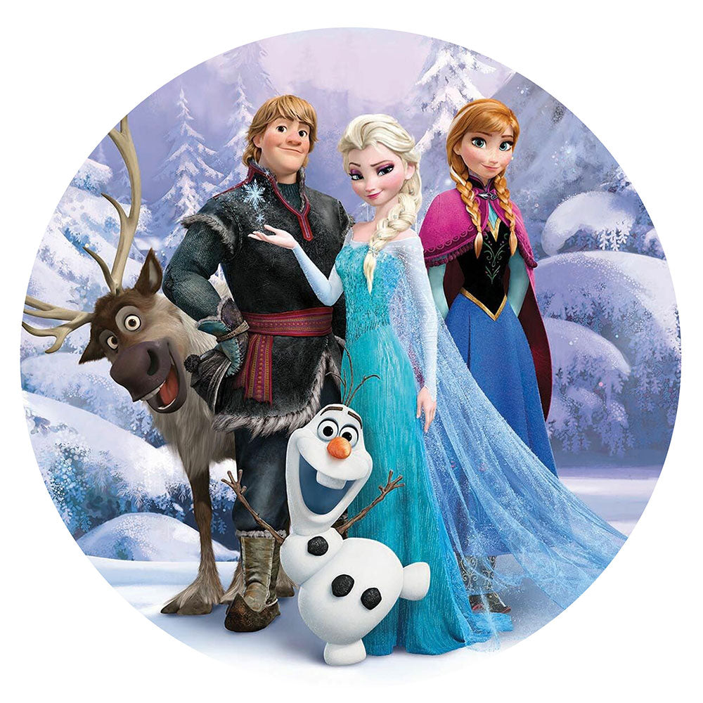 Frozen Group Edible Icing Cake Image