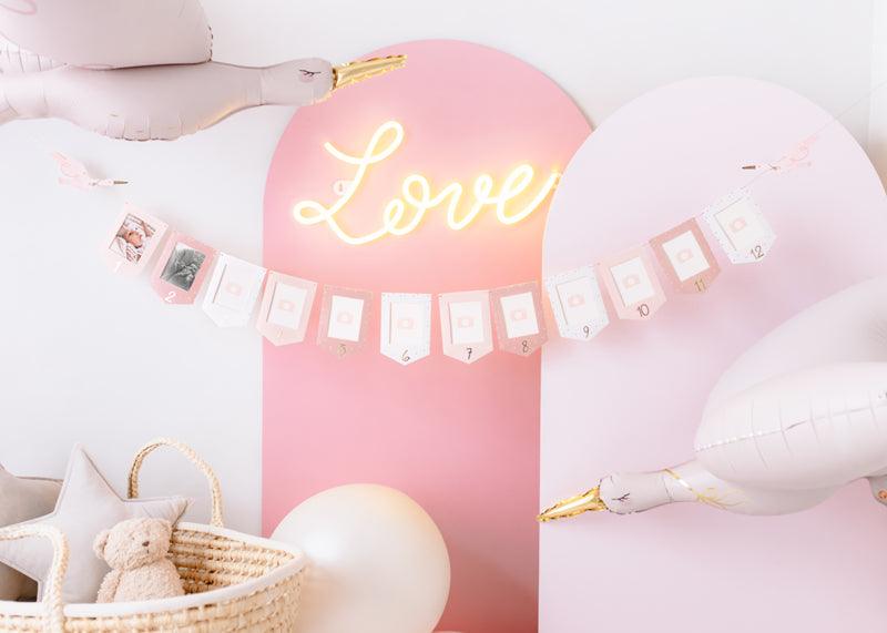 Stork Photo Frame Garland