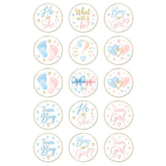 Gender Reveal Edible Icing Cupcake Images
