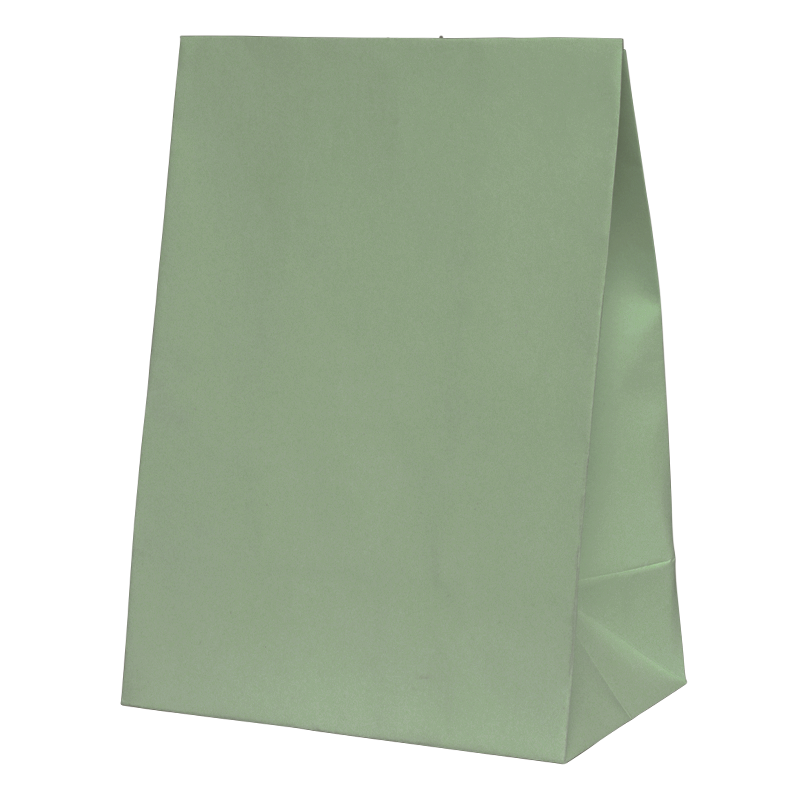 Eucalyptus Paper Party Favour Bag 10pk