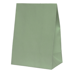 Eucalyptus Paper Party Favour Bag 10pk