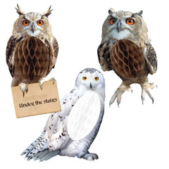 Harry Potter Hanging Honeycomb Owls 3pk