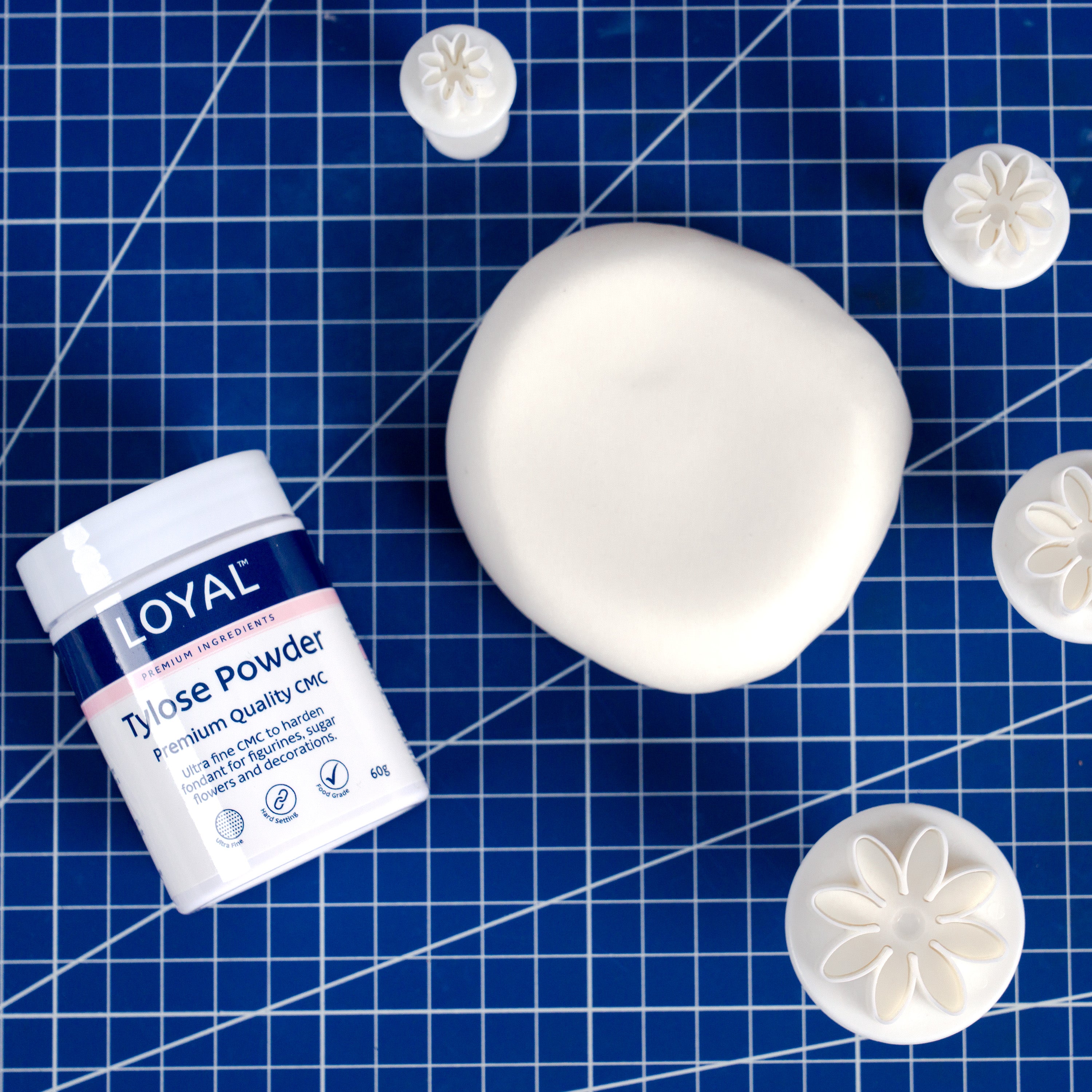 LOYAL Tylose Powder 60g