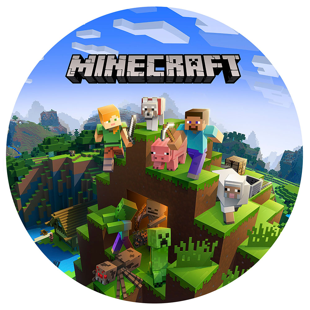 Minecraft Edible Icing Cake Image